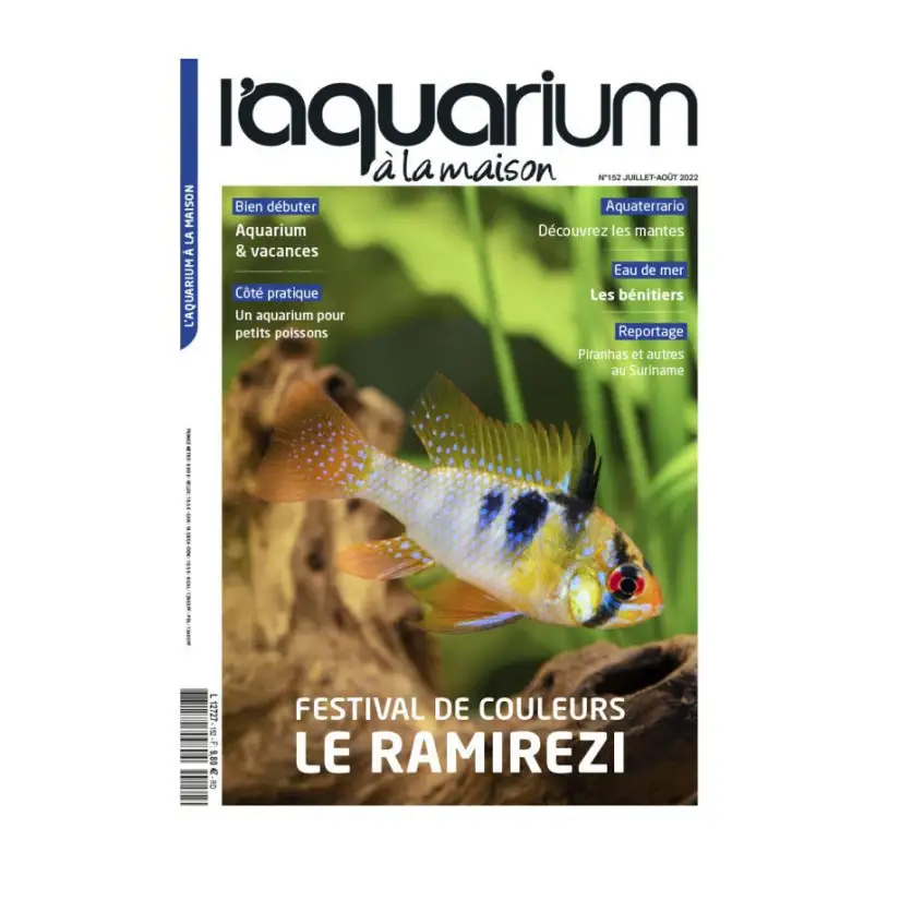 The Aquarium at home - Number 152 - July-August 2022