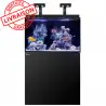 RED SEA - Aquarium Max® E-260 + LED 2x AI Hydra 26™ HD - Gabinete Negro + Decantación - 260 litros