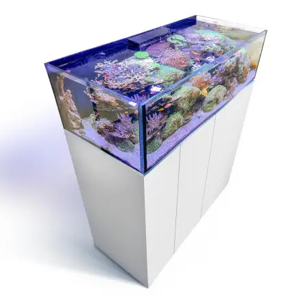 AQUA MEDIC - Armatus Lagoon 400 - Weiß - Rahmenloses Korallenaquarium