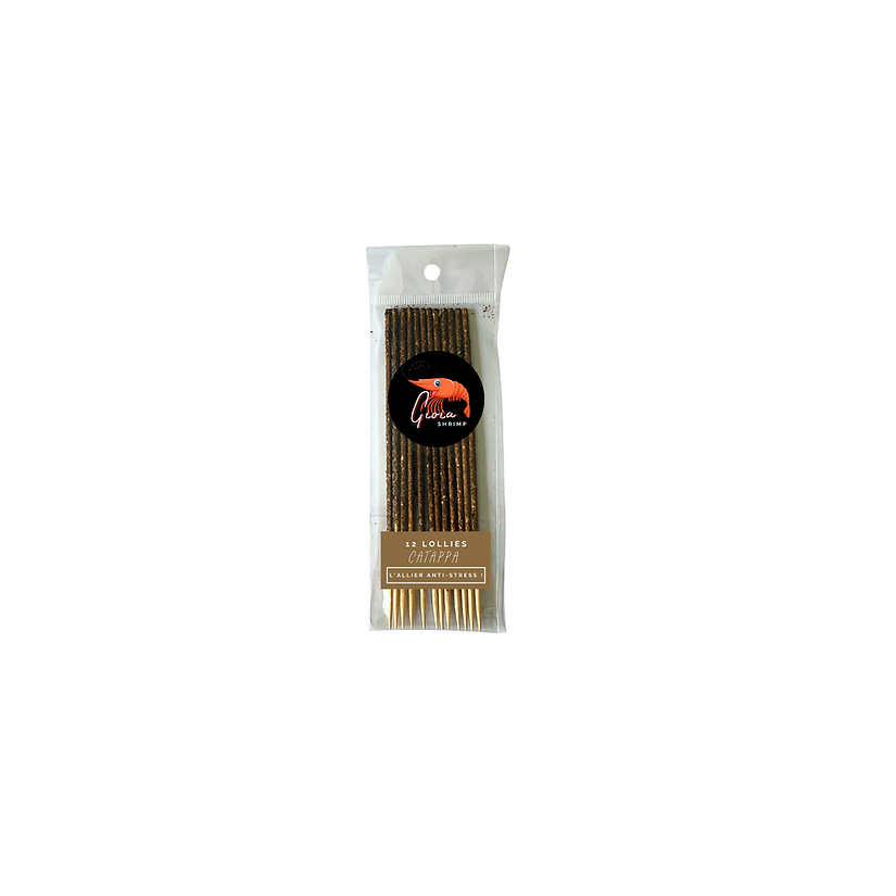 Gioia Shrimp 12 Pack Catappa Lollies for Aquarium Shrimp