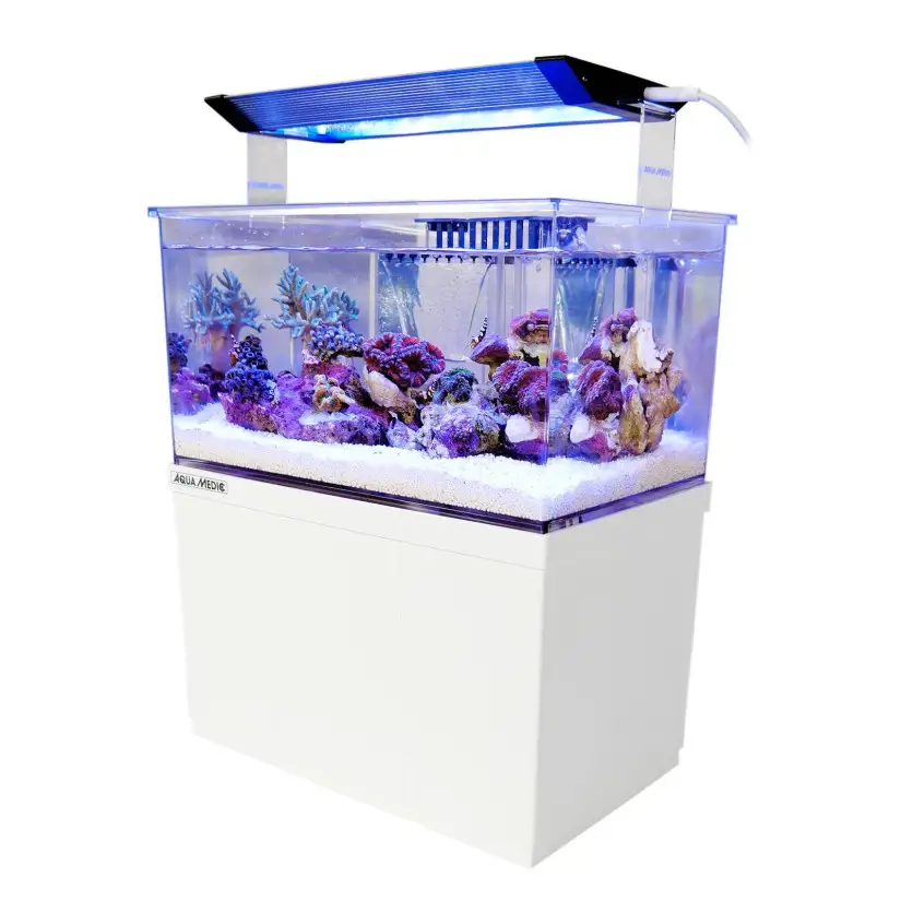 AQUA MEDIC - Armatus XS - 8 liter - Alles-in-één micro-aquarium