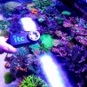 ITC Reef Culture - PARwise - Misuratore PAR per acquario