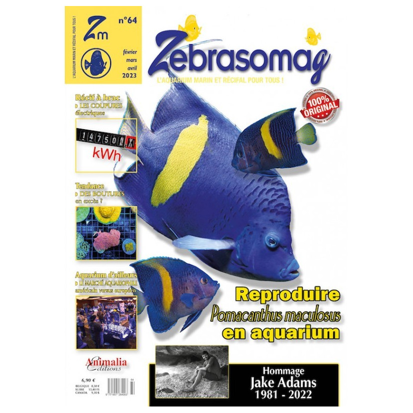 ANIMALIA EDITIONS – ZebrasO'mag Nr. 64