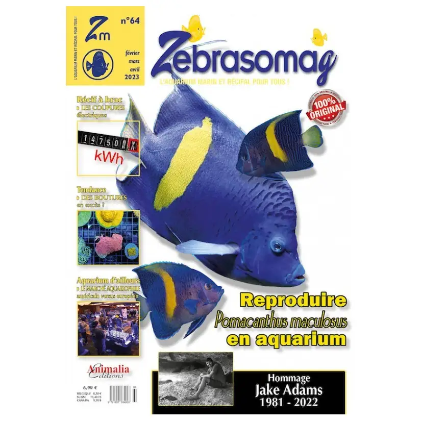 EDIÇÕES ANIMALIA - ZebrasO'mag N°64