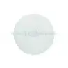 Dejong - Fragstone Disc Ø 4.5 cm - Lot de 25 disque à bouture