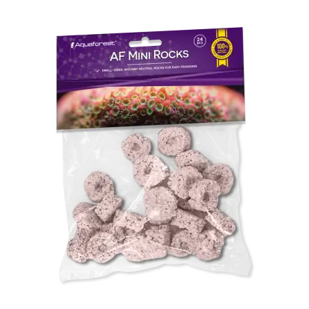 AQUAFOREST - AF Mini Rocks Paars - 24 stuks - Rotsen voor koraalstekken.