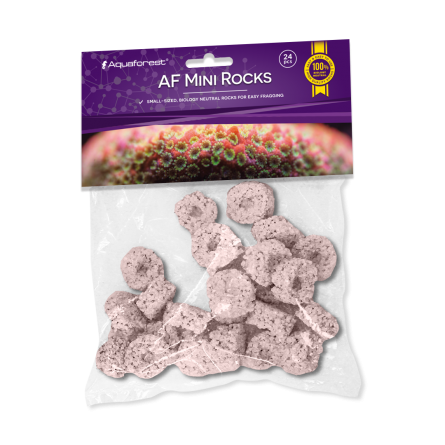 AQUAFOREST - AF Mini Rocks Purple - 24 pcs - Rocks for coral cuttings.