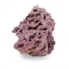 CARIBSEA - CaribSea Life Rock met bacteriën - 9,07 kg