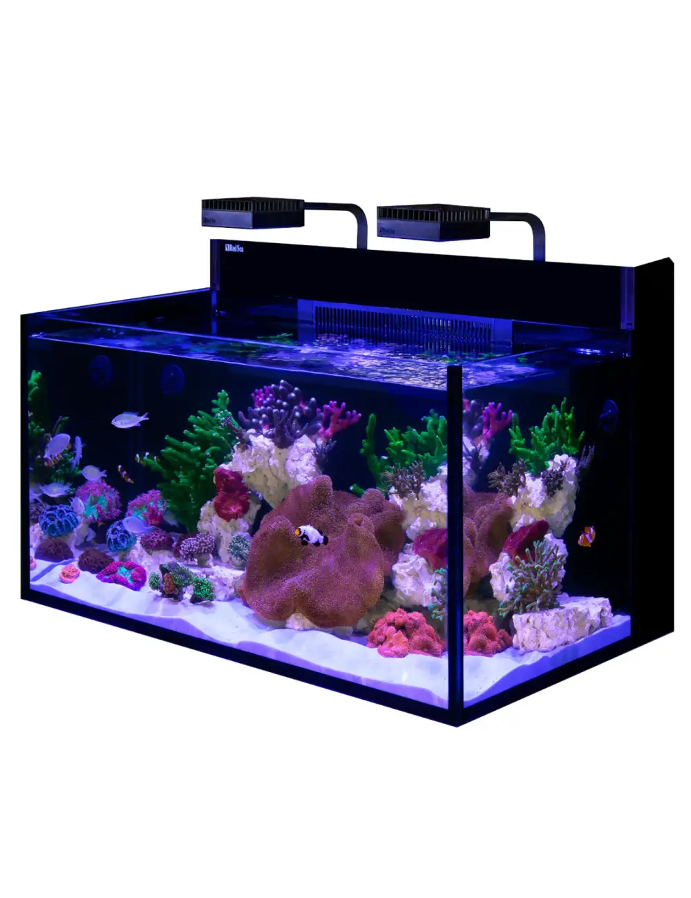 RED SEA - MAX NANO G2 XXL - 200 L - Sans meuble - Aquarium tout-en-un