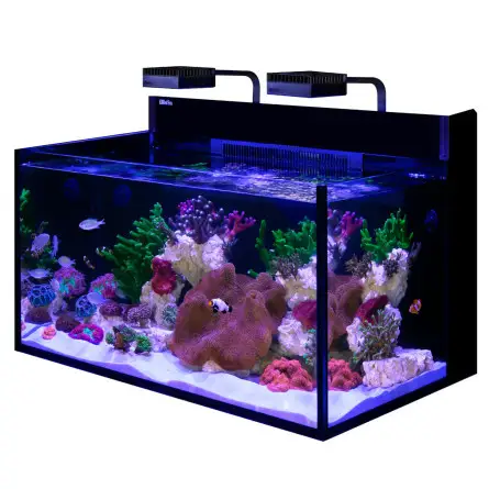 RED SEA - MAX NANO G2 XXL - 200 L - Sans meuble - Aquarium tout-en-un