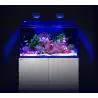 RED SEA - MAX NANO G2 XXL - 200 L - Meuble Noir - Aquarium tout-en-un