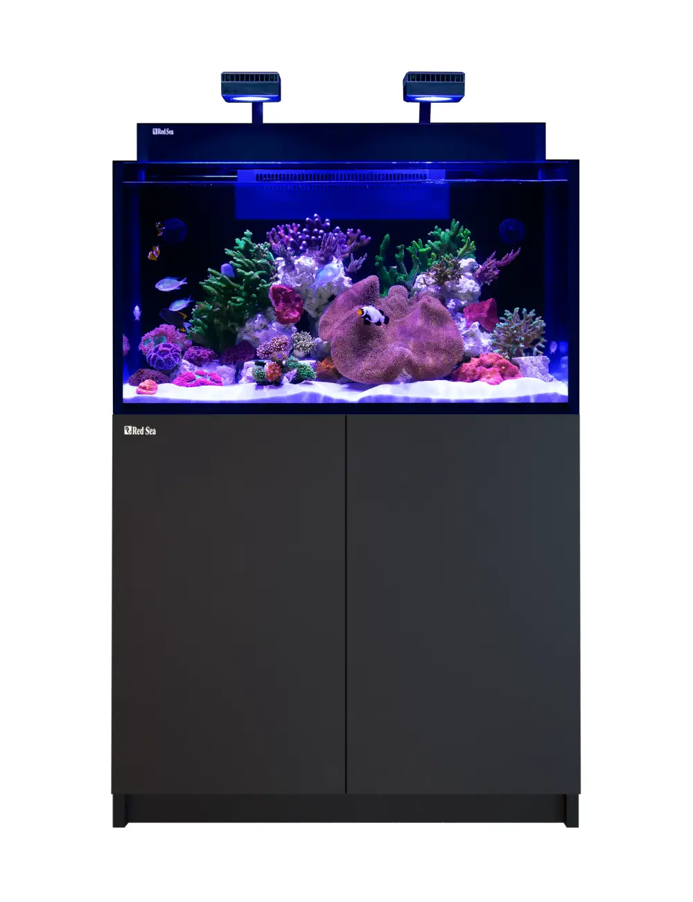 RED SEA - MAX NANO G2 XXL - 200 L - Meuble Noir - Aquarium tout-en-un