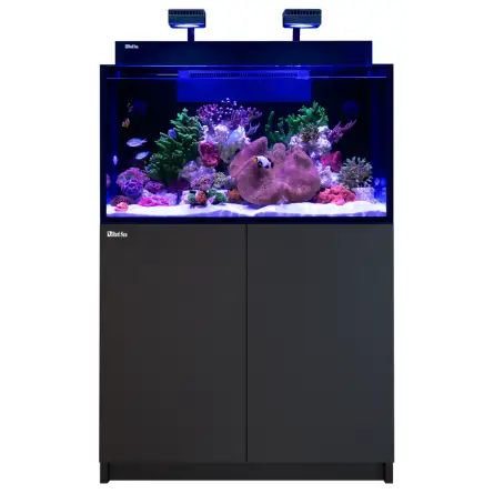 RED SEA - MAX NANO G2 XXL - 200 L - Meuble Noir - Aquarium tout-en-un