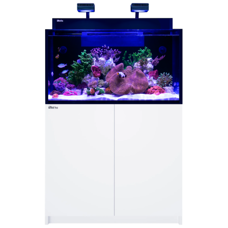 RED SEA - MAX NANO G2 XXL - 200 L - Meuble Blanc - Aquarium tout-en-un