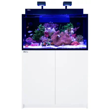 RED SEA - MAX NANO G2 XXL - 200 L - Meuble Blanc - Aquarium tout-en-un