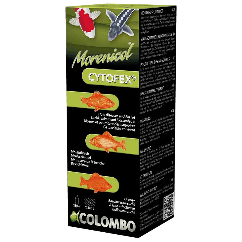 COLOMBO - Cytofex - 500 ml - Contre les infections bactériennes externes