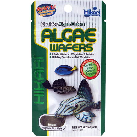 HIKARI - Algae Wafers - 20g - Aliment coulant pour herbivore