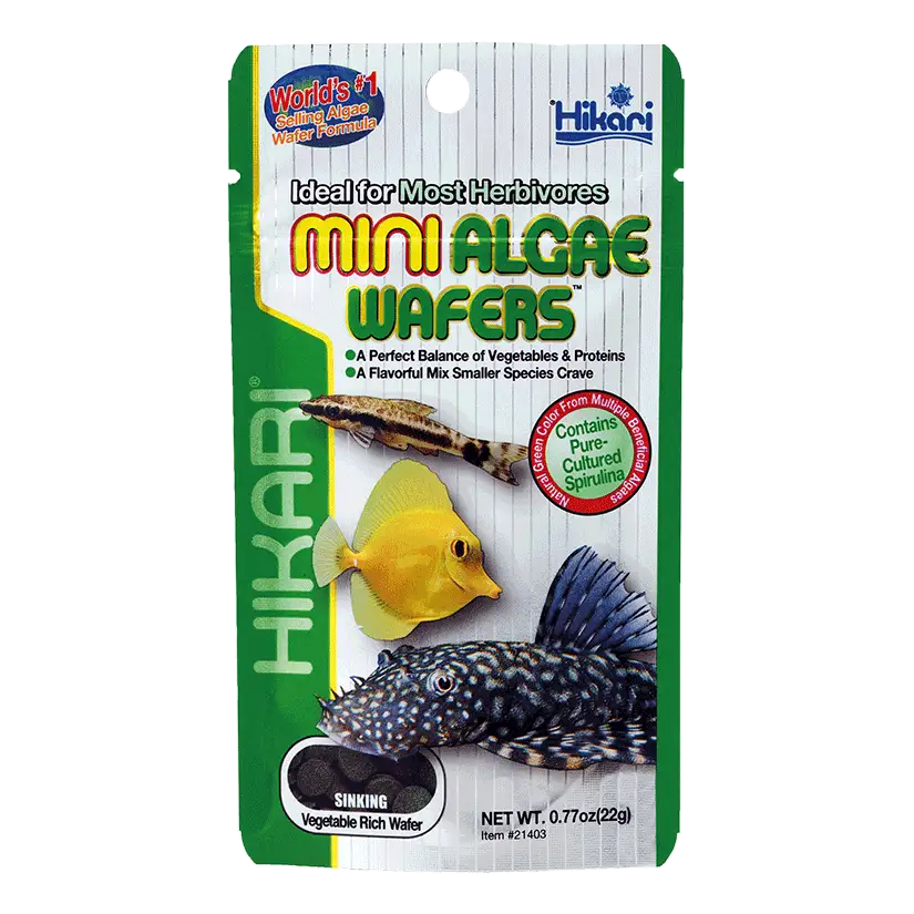 HIKARI - Mini Algae Wafers - 22g - Aliment coulant pour herbivore