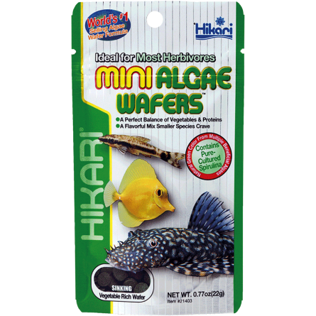 HIKARI - Mini Algae Wafers - 22g - Aliment coulant pour herbivore