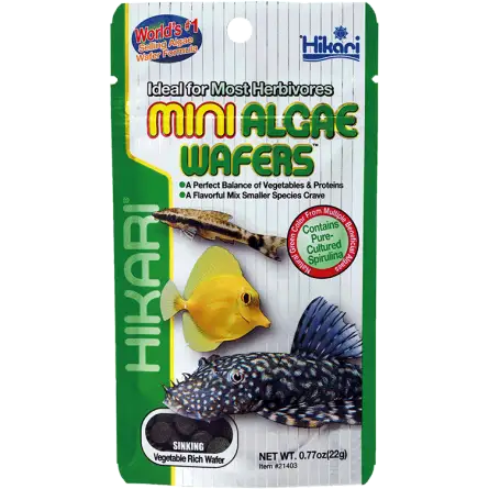 HIKARI - Mini Algae Wafers - 22g - Aliment coulant pour herbivore