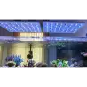 ATI - Straton pro 153 - Anthracite - Rampe LED pour aquarium marin