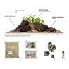 WIO - Kit Rivulet River - Kit complet d'aquascaping