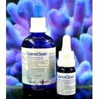 KORALLEN-ZUCHT - Cyano Clean - 10 ml - Bacteria strain