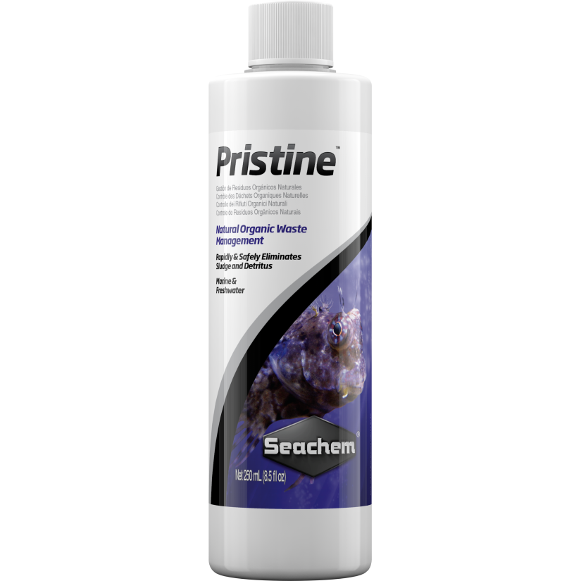 SEACHEM - Pristine 250ml - Bacterias para acuarios