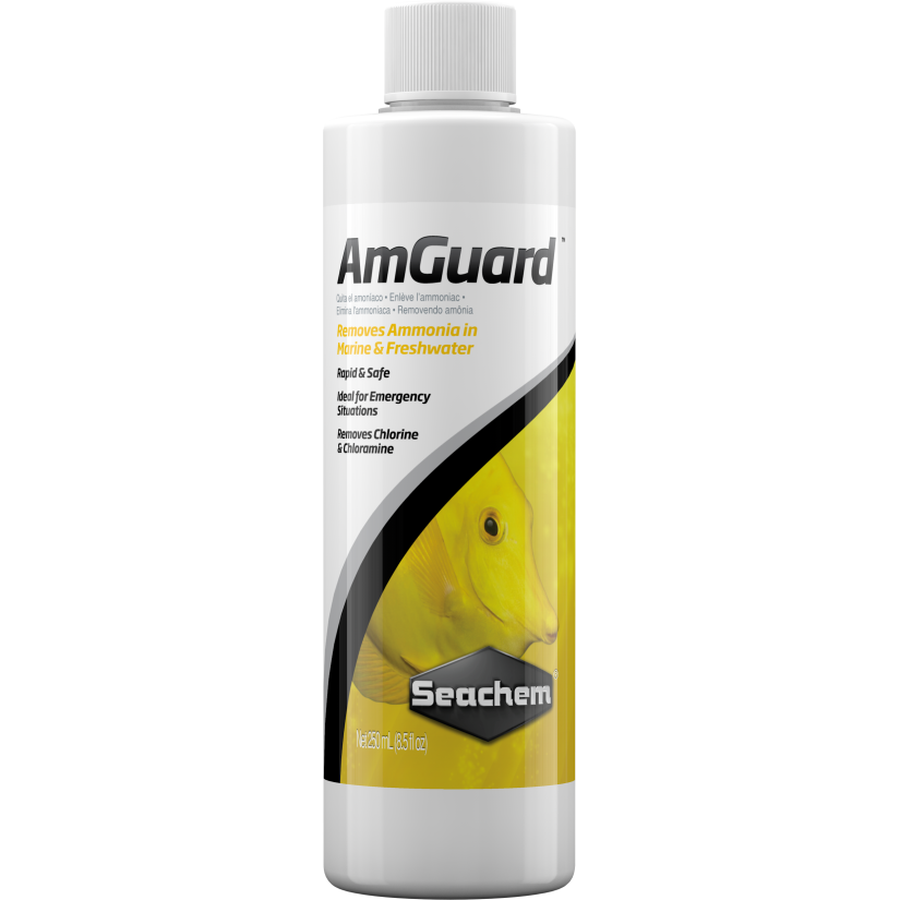 SEACHEM - Amguard 250ml - Balsamo d'acqua antiammoniaca