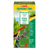 SERA - Spirulina Tabs 24 compresse - Compresse adesive ad alto contenuto di spirulina