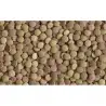 TETRA - PlantaStart - 12 tablets - Fertilizer for aquarium plants