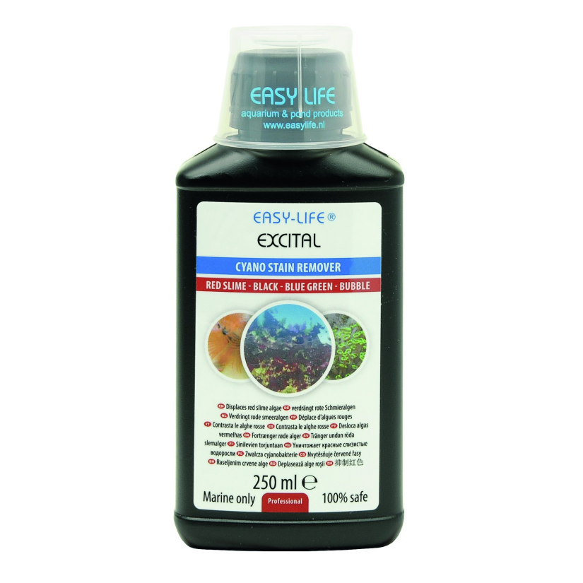 EASY LIFE - Excital - 250ml - Elimination of cyanobacteria