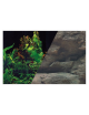 ZOLUX - Rock/Plant Background Poster - 80x50cm