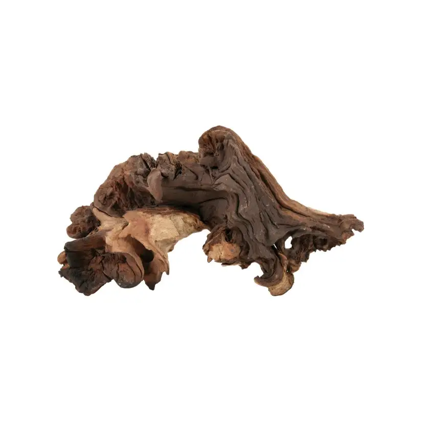 ZOLUX - Maupani Root - Size S