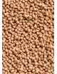 OCEAN NUTRITIONS - Community Formula Pellets - 100g - Alimento en pellets para peces