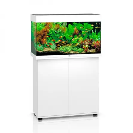 JUWEL - Rio 125 LED Blanc - Aquarium tout équipé - Livraison gratuite