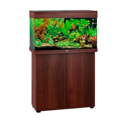 JUWEL - Rio 125 LED Bruin - Volledig uitgerust aquarium - Gratis levering