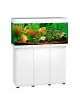 JUWEL - Rio 180 LED Blanco - Acuario Totalmente Equipado - Envío Gratis