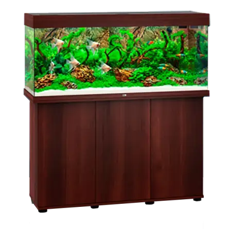 JUWEL - Rio 240 LED Braun - Voll ausgestattetes Aquarium - Kostenlose Lieferung