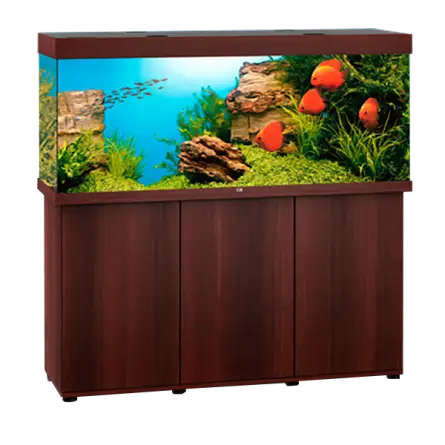 JUWEL - Rio 450 LED Braun - Voll ausgestattetes Aquarium - Kostenlose Lieferung