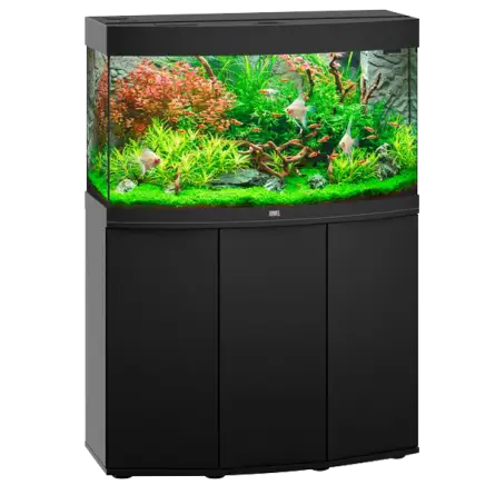 JUWEL - Vision 180 LED Noir - Aquarium tout équipé - Livraison gratuite