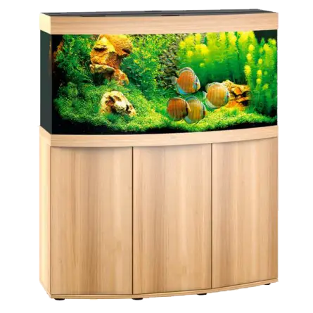 JUWEL - Vision 260 LED Light Oak - Voll ausgestattetes Aquarium - Kostenlose Lieferung