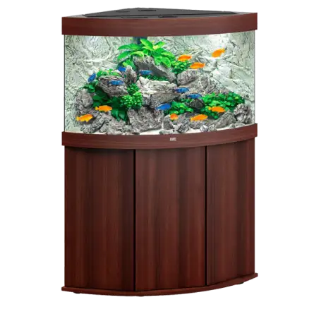 JUWEL - Trigon 190 LED Bruin - Volledig uitgerust aquarium - Gratis levering