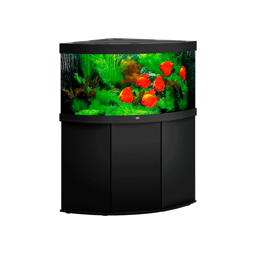 JUWEL - Trigon 350 LED Black - Acquario completamente attrezzato - Spedizione gratuita