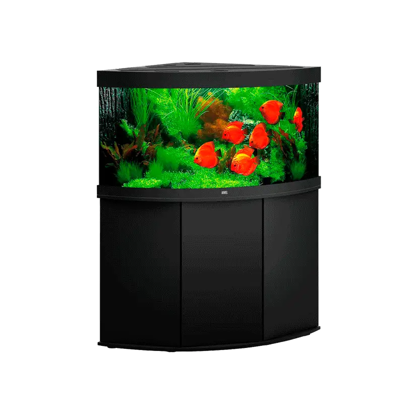 JUWEL - Trigon 350 LED Noir - Aquarium tout équipé - Livraison gratuite