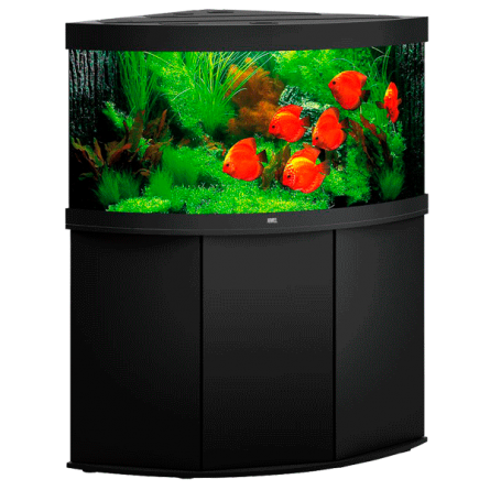 JUWEL - Trigon 350 LED Black - Acquario completamente attrezzato - Spedizione gratuita