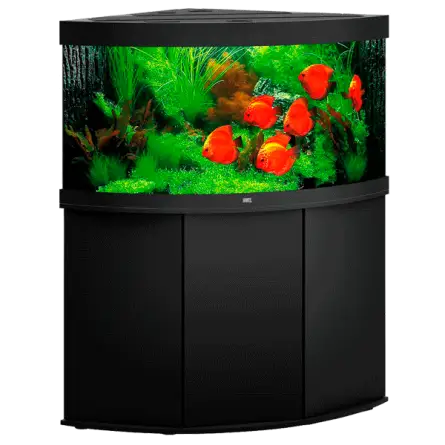 JUWEL - Trigon 350 LED Noir - Aquarium tout équipé - Livraison gratuite