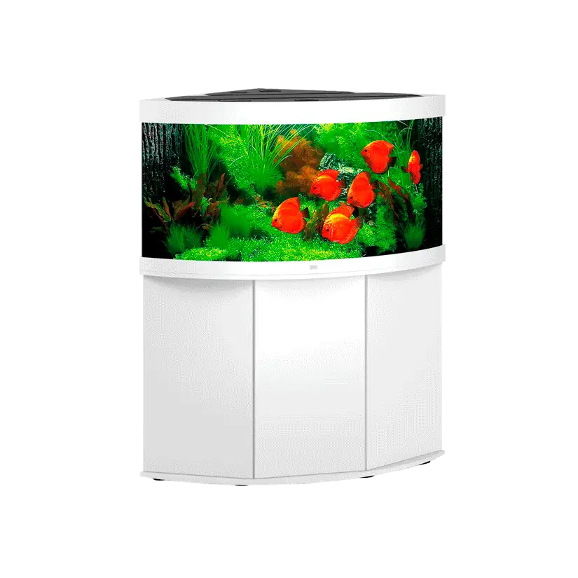 JUWEL - Trigon 350 LED Bianco - Acquario Completamente Attrezzato - Spedizione Gratuita