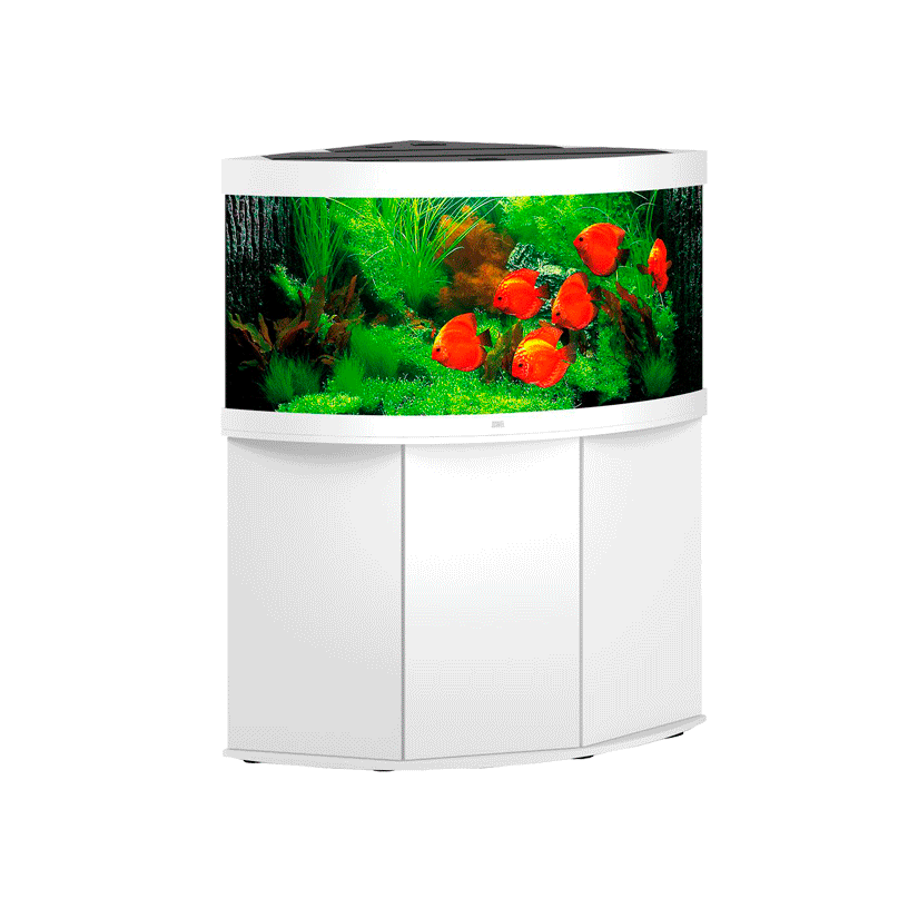 JUWEL - Trigon 350 LED Blanc - Aquarium tout équipé - Livraison gratuite