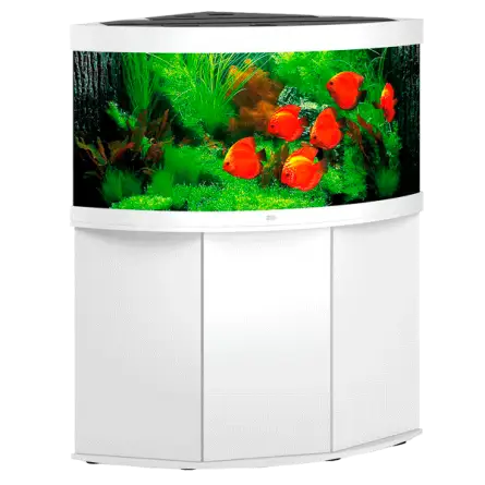 JUWEL - Trigon 350 LED Blanco - Acuario Totalmente Equipado - Envío Gratis